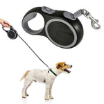 Laisse de chien rétractable 5M laisse en Nylon solide pour chien extensible chiot chien de compagnie corde de Traction Durable ceinture de plomb accessoires pour chien