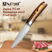 Xituo 5.5 Inch Damascus Vykosťovací nože Utility Japanese Vg10 Steel Chef Knife Knife Micarta Handle