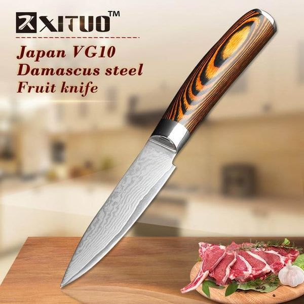 Xituo 5.5 Inch Damascus Boning Knives Utility Japanese Vg10 Steel Chef Knife Micarta Handle