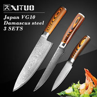 Xituo 5.5 بوصة دمشق قطعة العاج السكاكين فائدة اليابانية Vg10 الصلب الشيف سكين Micarta مقبض