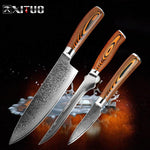 Xituo 5.5 inch Damaskus udbeningsknive Utility Japanese Vg10 Steel Chef Knife Micarta Handle