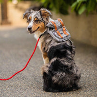 Pet Self Backpack Schnauzer ຖົງ Corgi ຫມາຂະຫນາດນ້ອຍແລະຂະຫນາດກາງ
