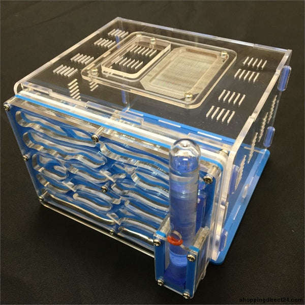 Big 9Color Available Diy Moisture With Feeding Area Ant Nest Farm Acryl Insect Nests Villa Pet Mania