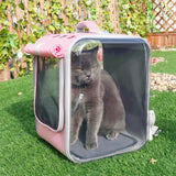 Pet Cat Carrier Backpack Oddychająca torba podróżna na ramię dla małych psów Koty Przenośne opakowania Przewożące artykuły dla zwierząt