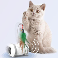 لعبة قطة تفاعلية مع رؤوس قابلة للتبديل وألعاب ريش الحيوانات الأليفة