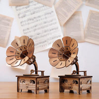 Senovinės medinės retro įrašų grotuvo muzikos dėžutės amatai „Gramophone“ trimito modelio muzikos dėžutės papuošalai namų baro parduotuvės dekoravimo dovanos