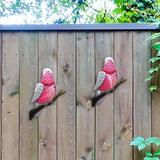 مجموعة من 2 قطعة فنية لجدار طيور الببغاء المعدنية المصنوعة يدويًا لتزيين الحديقة تماثيل خارجية للمنزل المنمنمات والاكسسوارات