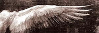 Angel Wings რთველი კედლის პლაკატები და ნამუშევარი შავი თეთრი ხელოვნების ტილოზე შესრულებული პოპ ჩარჩოები 40X120 სმ /